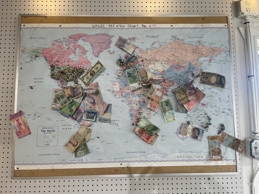 Tip Top Savory Pies by null