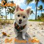 Photo of Pet Haven Salon