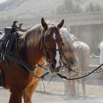 Smoke Tree Stables - Horseback Riding Near Me - Palm Springs, California
