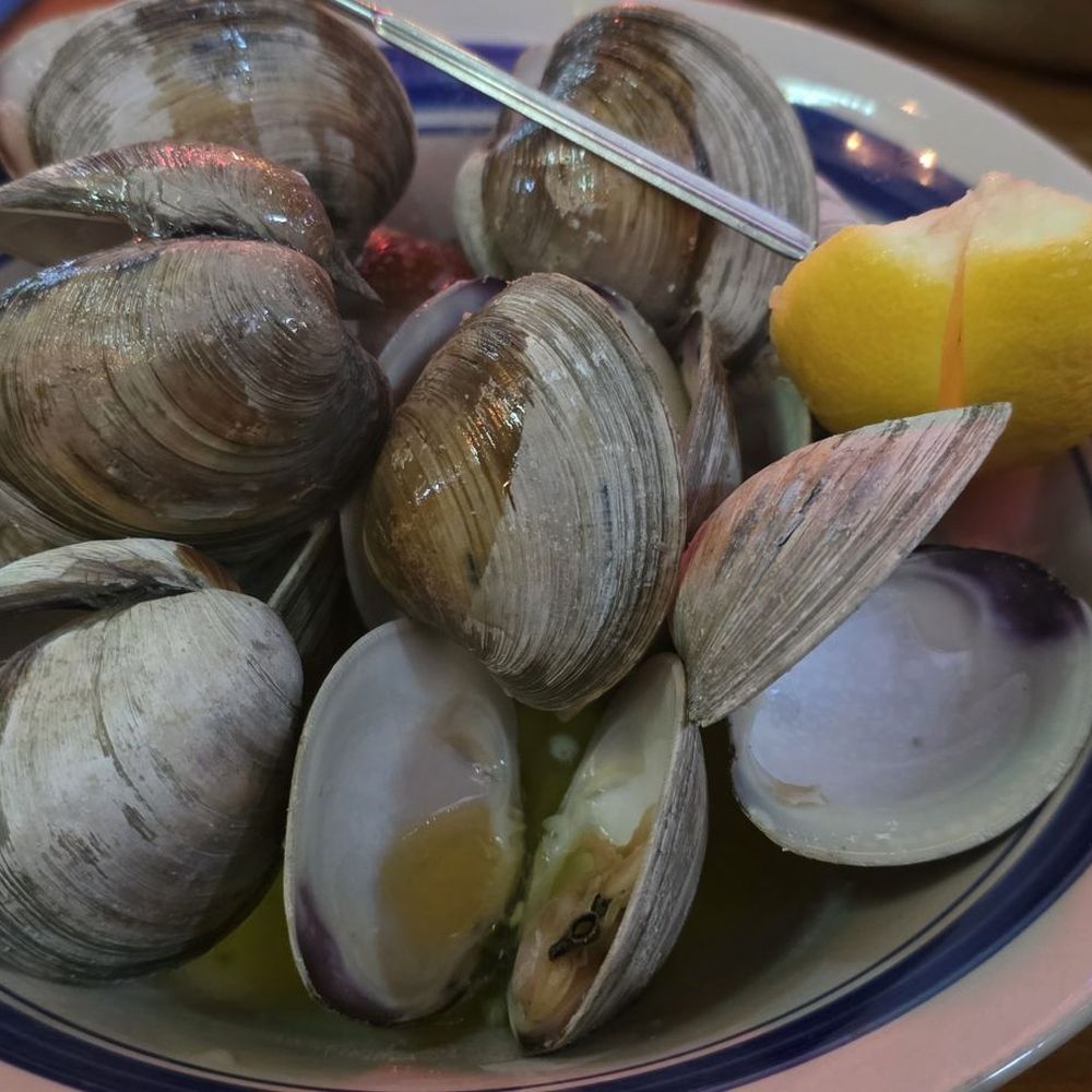 Crabby Dick’s - Steamed clams - Seafood Near Me - Rehoboth beach, Delaware Crabby Dick’s - Steamed clams - Seafood Near Me - Rehoboth beach, Delaware