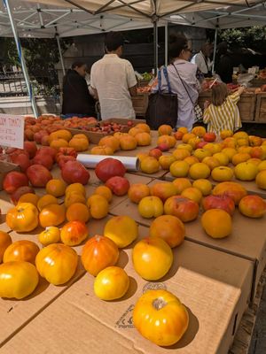 Fort Greene Park Greenmarket by null