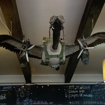 Goose On The Loose - The Goose!!! So cute!! - Cafes Near Me - Dublin, D Goose On The Loose - The Goose!!! So cute!! - Cafes Near Me - Dublin, D
