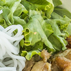 Debi's Kitchen - Nouilles