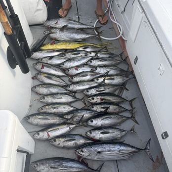Pacific Venture Charter Services - Haul for the day! - Boating Near Me Pacific Venture Charter Services - Haul for the day! - Boating Near Me