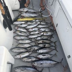 Pacific Venture Charter Services - Haul for the day!