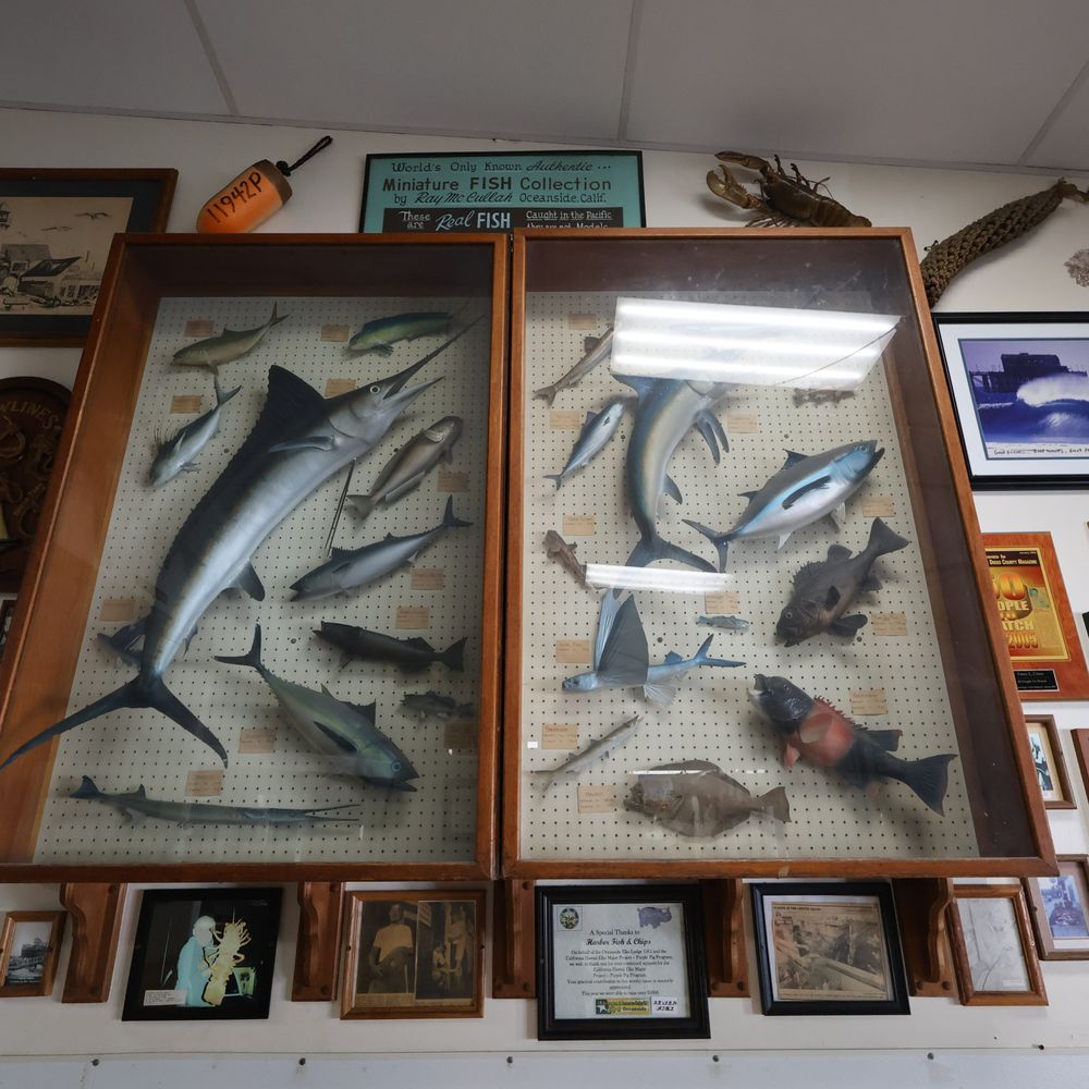 Harbor Fish & Chips - Fish & Chips Near Me - Oceanside, California