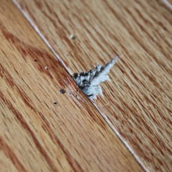 Fairway Tile & Carpet - Damage caused by Fairway Installer to new hardwood floors