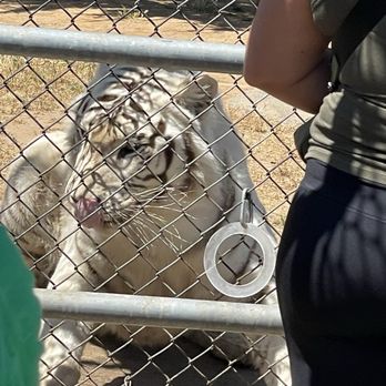 Lions Tigers & Bears - Community Service/Non-Profit Near Me - Alpine, California