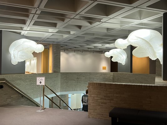 North Carolina Museum of Art by null