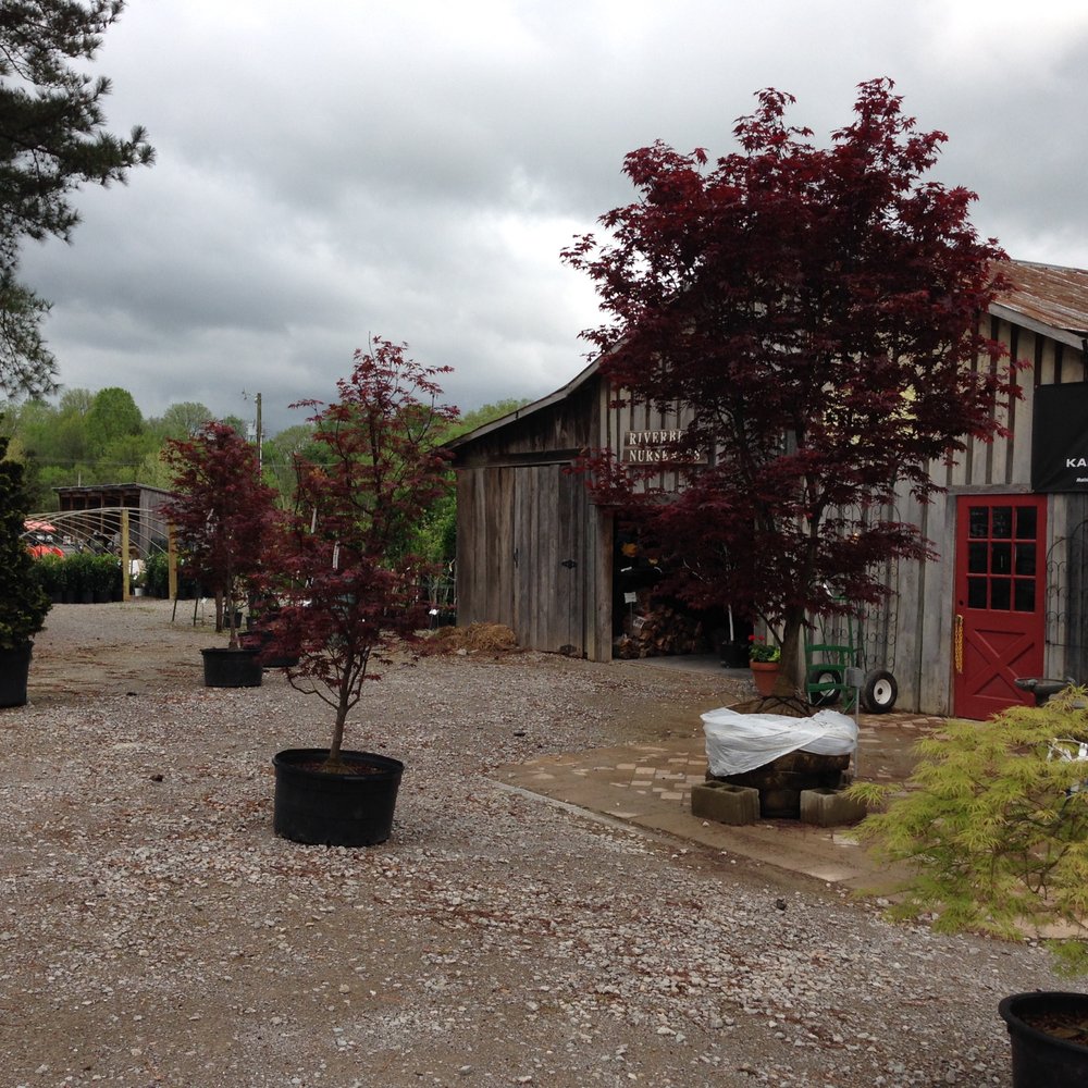 Riverbend Nurseries Garden Center - Nurseries & Gardening Near Me - Franklin, Tennessee Riverbend Nurseries Garden Center - Nurseries & Gardening Near Me - Franklin, Tennessee