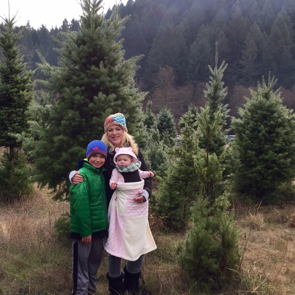 Hidden Canyon Christmas Tree Farm - Christmas Trees Near Me - Placerville, California