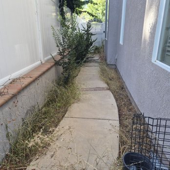 Perez's Landscaping Services - Side of house 2 before - Landscaping Near Me - Menifee, California