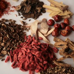 Sage Medicine