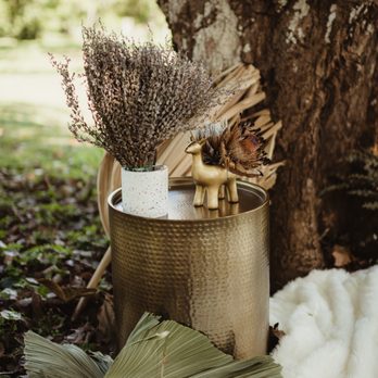 For The Good Hawaii - Amber Garrett Photography - Party & Event Planning Near Me