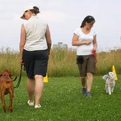Mel's Hunde und Pferdeausbildung