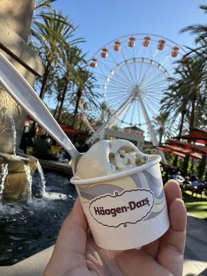 Häagen-Dazs by null