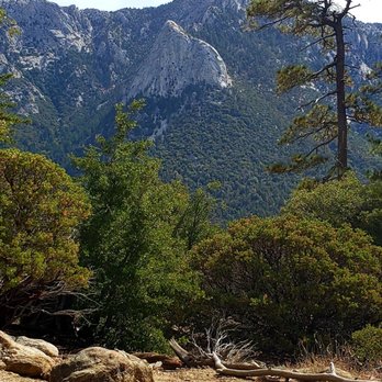 Fern Valley Inn - Hiking - Bed & Breakfast Near Me - Idyllwild, California Fern Valley Inn - Hiking - Bed & Breakfast Near Me - Idyllwild, California