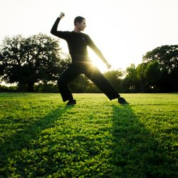 Vertical Journey Martial Arts