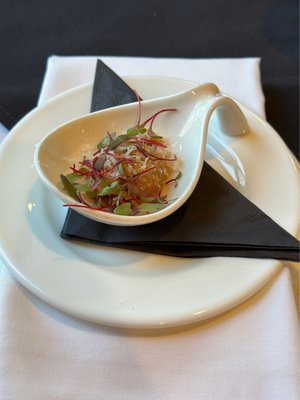 Bella Colibri by null