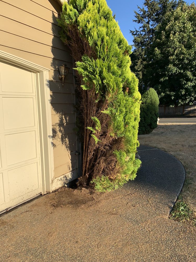 Slide of Good Plumber