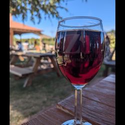 Zin Valle Vineyards - Merlot - Mans Best Friend
