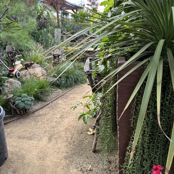 Escape Gardens - Nurseries & Gardening Near Me - Somis, California Escape Gardens - Nurseries & Gardening Near Me - Somis, California
