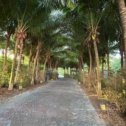 Walk way