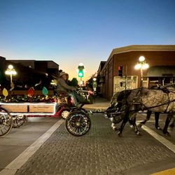 Old Town Monrovia - Carriage rides through Old Town at the Thankful & Grateful Festival 11/20/2024!!