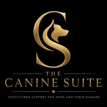 The Canine Suite - Pet Training Near Me - Somers, Connecticut The Canine Suite - Pet Training Near Me - Somers, Connecticut