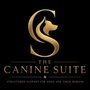 Photo of The Canine Suite Mobile Dog Gym