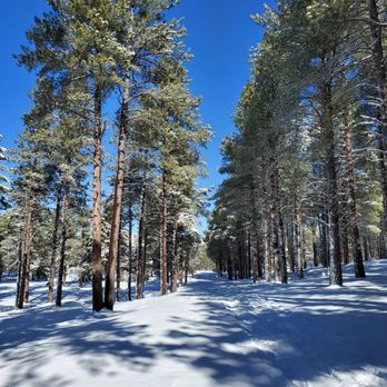 Fort Tuthill County Park - Parks Near Me - Flagstaff, Arizona Fort Tuthill County Park - Parks Near Me - Flagstaff, Arizona