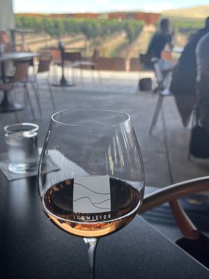 Los Milics Vineyards by null