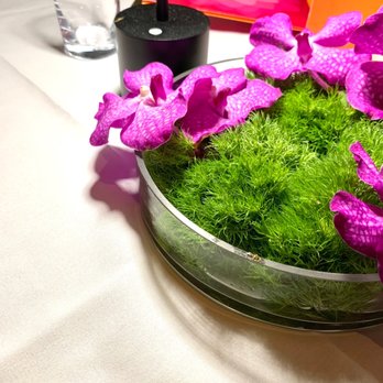 Robert - Secretary Vibes: (Oh...& Those Are Real Orchids) - New American Near Me - New York, New York Robert - Secretary Vibes: (Oh...& Those Are Real Orchids) - New American Near Me - New York, New York