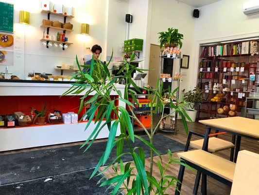 Dave Plant Food by null