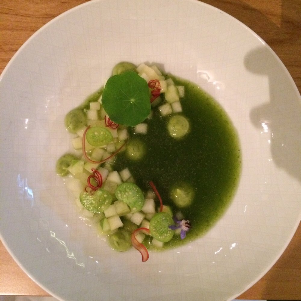 Pehüa - An excellent chilled soup - Mexican Near Me - Ciudad de México, DIF Pehüa - An excellent chilled soup - Mexican Near Me - Ciudad de México, DIF