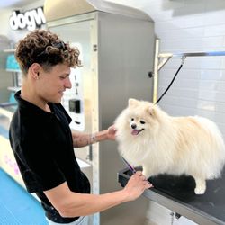 The Bark Bath Dog Wash