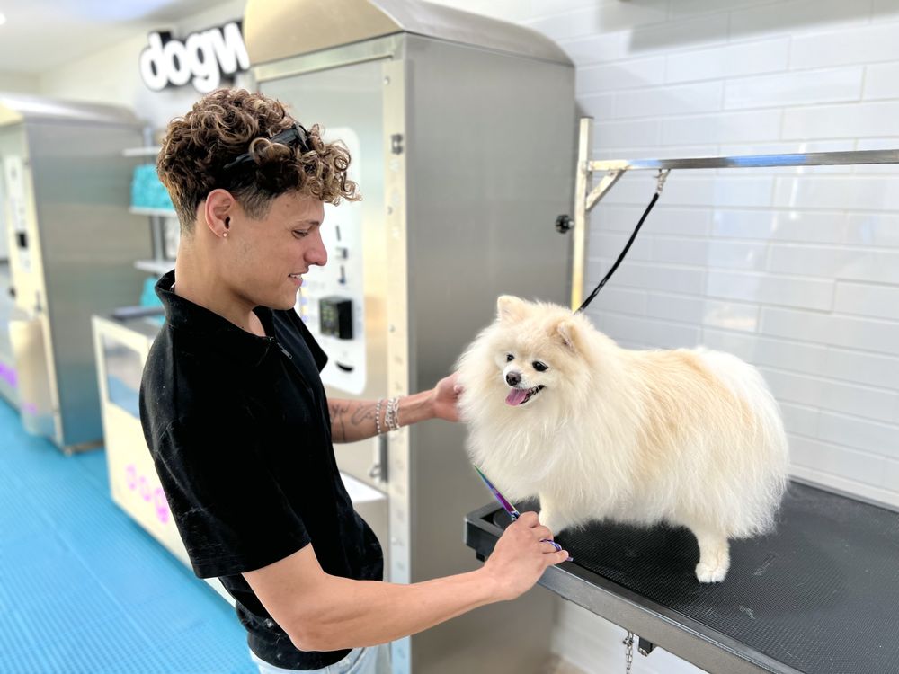The Bark Bath Dog Wash Image