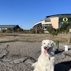 Alton Baker Dog Park