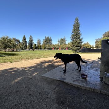 The Bark Park - Dog Parks Near Me - Sacramento, California The Bark Park - Dog Parks Near Me - Sacramento, California