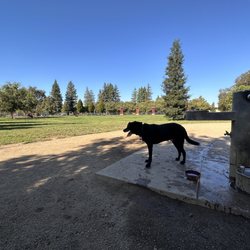 The Bark Park