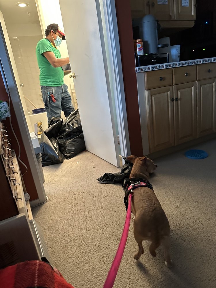 HOUSE DOCTORS HANDYMAN OF NORTHERN VIRGINIA MANASSAS Updated