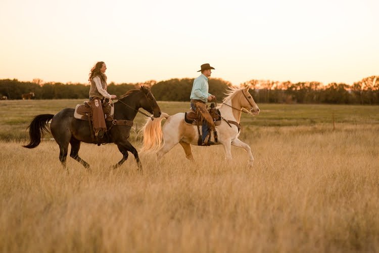 The Johnson Family's Cross Trails Boarding Logo