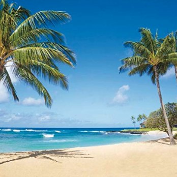 Tinley Travel - Travel Services Near Me - Tinley Park, Illinois Tinley Travel - Travel Services Near Me - Tinley Park, Illinois