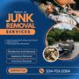 Photo of Tiger Junk Removal