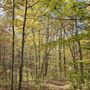 Photo of Blue Licks Battlefield State Resort Park