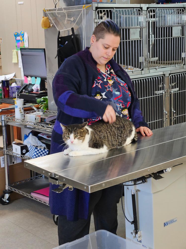 VITAL ANIMAL VETERINARY CLINIC Updated August 2024 16 Photos & 10