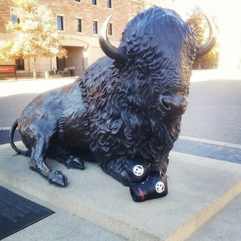 9Round - Boulder - We love Ralphie the Buffalo!  Ralphie is an awesome kickboxer! - Kickboxing Near Me - Boulder, Colorado
