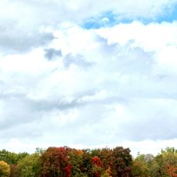 Gardiner Brewing Company - Fall foliage, mid Oct 2024