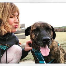 Mill Creek Veterinary Hospital - The happiest boy who is Alive and Well thanks to great care!