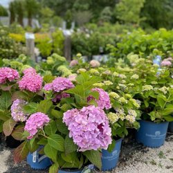 Scotty Landscape Supply